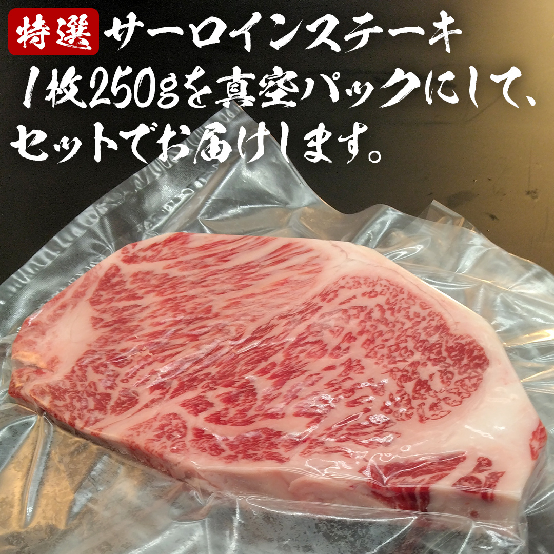 【 常陸牛 】 A5 等級 サーロインステーキ 500g (250g×2枚) あらぎり わさび 付 （茨城県 共通返礼品：守谷市） ひたちぎゅう ブランド牛 ステーキ サーロイン 国産牛 黒毛和牛 和牛 国産黒毛和牛 お肉 A5ランク 山葵 ワサビ [BX93-NT]