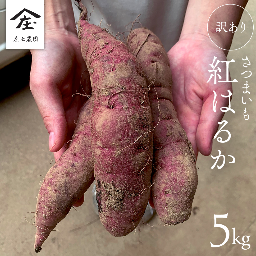 【 訳あり 】 さつまいも ！ 紅はるか 5kg サツマイモ 芋 いも べにはるか 茨城 美味しい おいしい ワケアリ 訳アリ [BK09-NT]