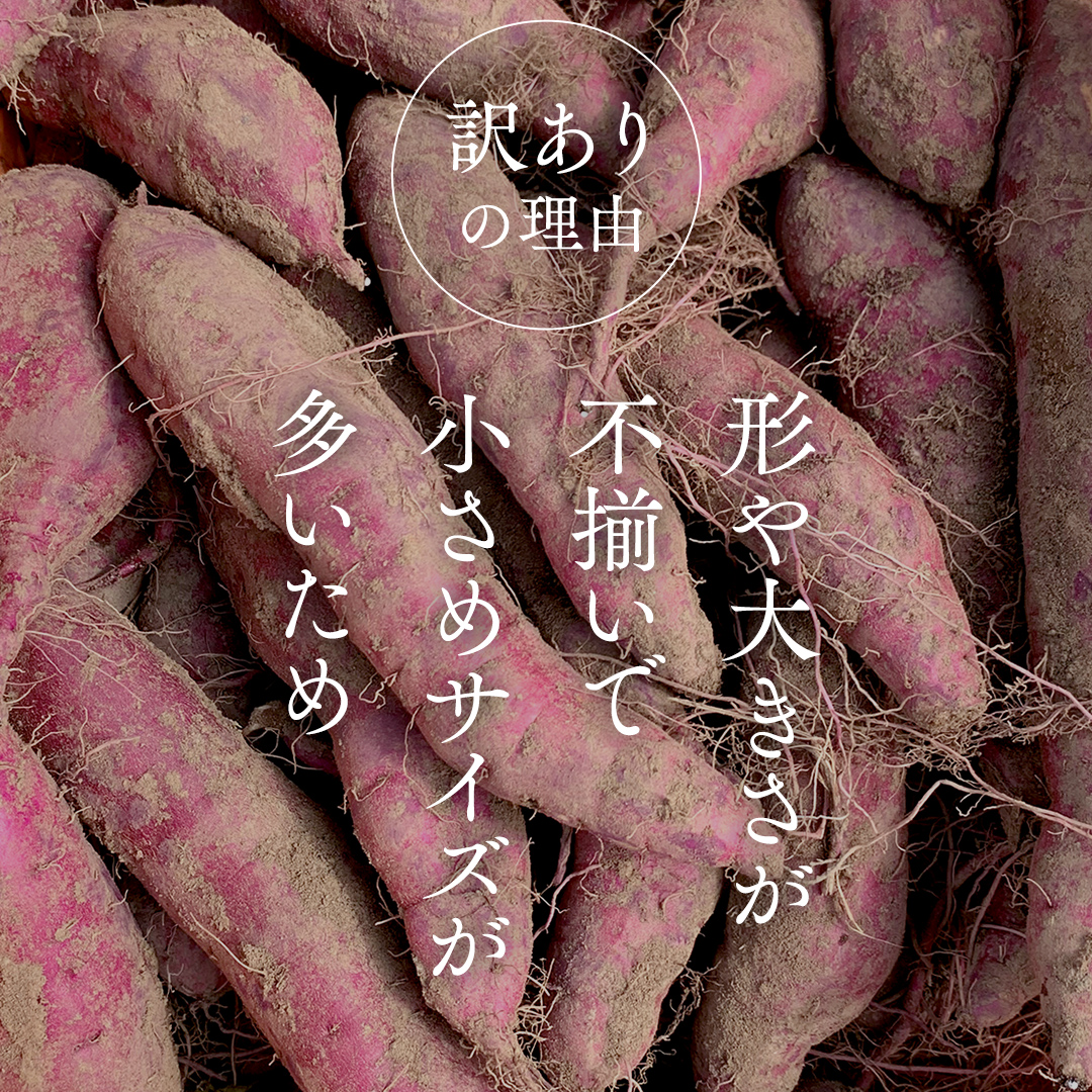 【 訳あり 】 さつまいも ！ 紅はるか 5kg サツマイモ 芋 いも べにはるか 茨城 美味しい おいしい ワケアリ 訳アリ 規格外 不揃い [BK09-NT]
