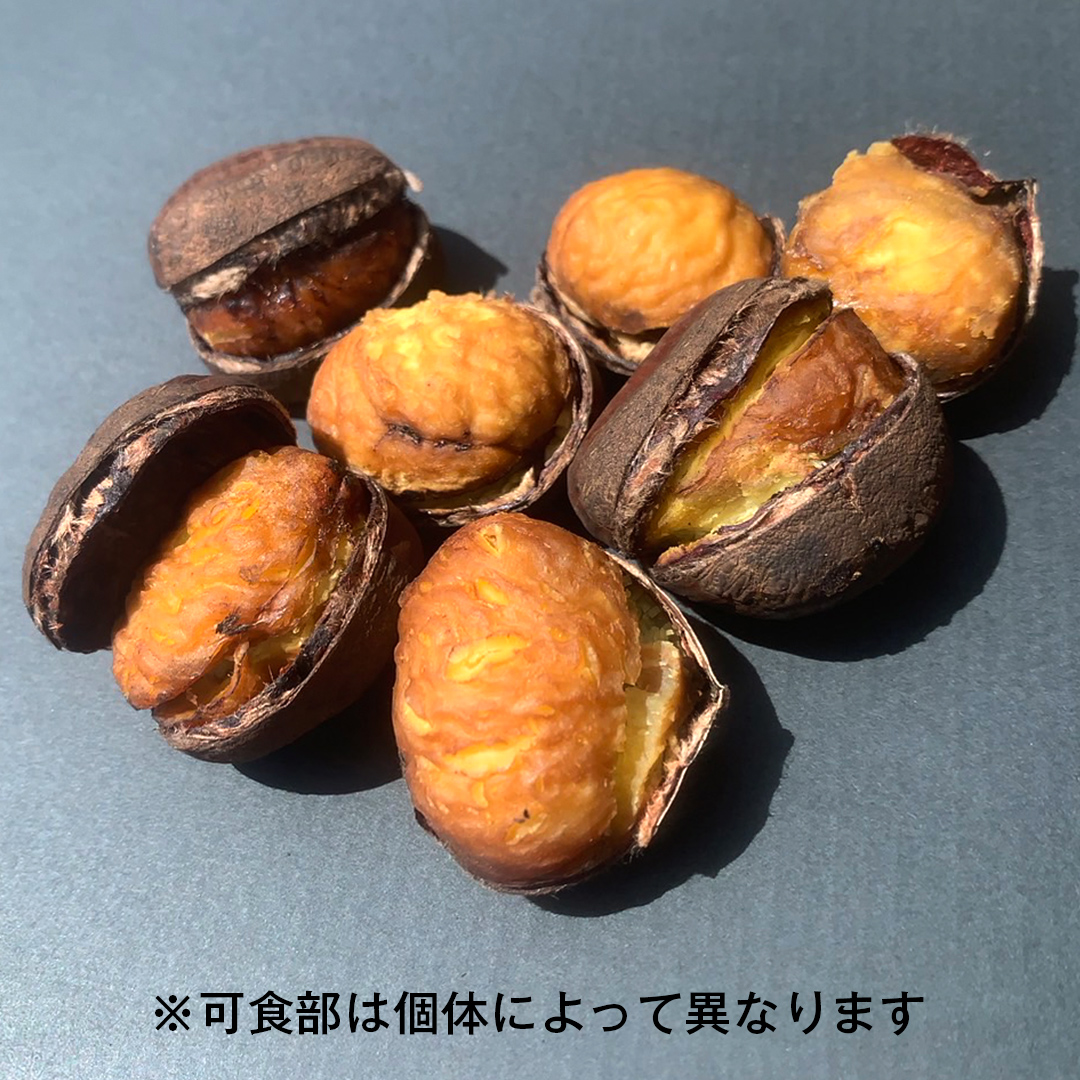 【 先行予約 】 庄七農園 限定 熟成 焼き栗 1kg 【 10月から順次お届け 】 栗 くり 焼栗 おやつ スイーツ 茨城 和栗 美味しい 果物 フルーツ [BK04-NT]