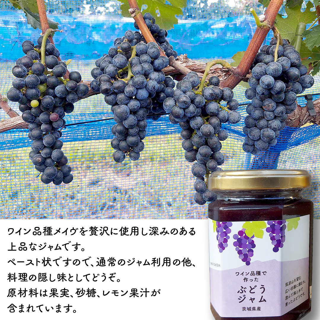 地元農家が作る つくばみらい市産 果実 を使った 梨 と ぶどう の ジャム 各種2個入り 計4個セット 梨 幸水 豊水 ぶどう ワイン品種 メイヴ やわら飯塚農園 パン ヨーグルト かき氷 アイス ピザ 朝食 おやつ 茨城県 つくばみらい市 地元農家 果物 セット [CZ08-NT]