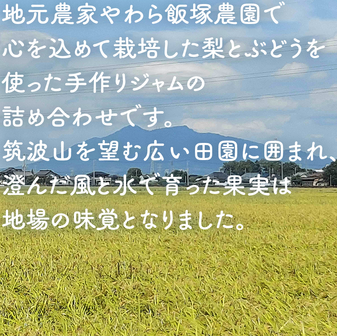 地元農家が作る つくばみらい市産 果実 を使った 梨 と ぶどう の ジャム 各種2個入り 計4個セット 梨 幸水 豊水 ぶどう ワイン品種 メイヴ やわら飯塚農園 パン ヨーグルト かき氷 アイス ピザ 朝食 おやつ 茨城県 つくばみらい市 地元農家 果物 セット [CZ08-NT]