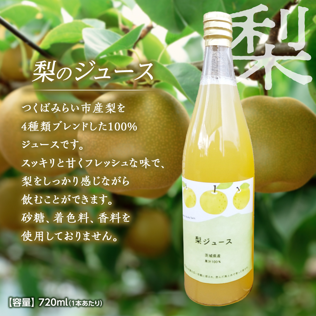 地元農家が作る つくばみらい市産 梨 を使った ジュース 720ml 2本セット 果汁100％ 梨ジュース 朝食飲み物 飲料 果実飲料 フルーツ 果物 ドリンク やわら飯塚農園 [CZ11-NT]