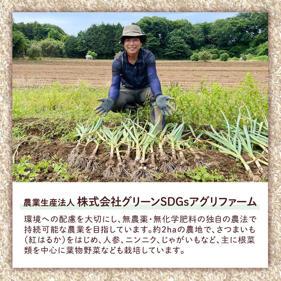 【 先行予約 】 土付き無選別 茨城県産 紅はるか 5kg 【 2024年11月より順次発送 】 さつまいも 芋 サツマイモ 甘い 焼き芋 スイートポテト ねっとり 土付き 無選別 [DX08-NT]