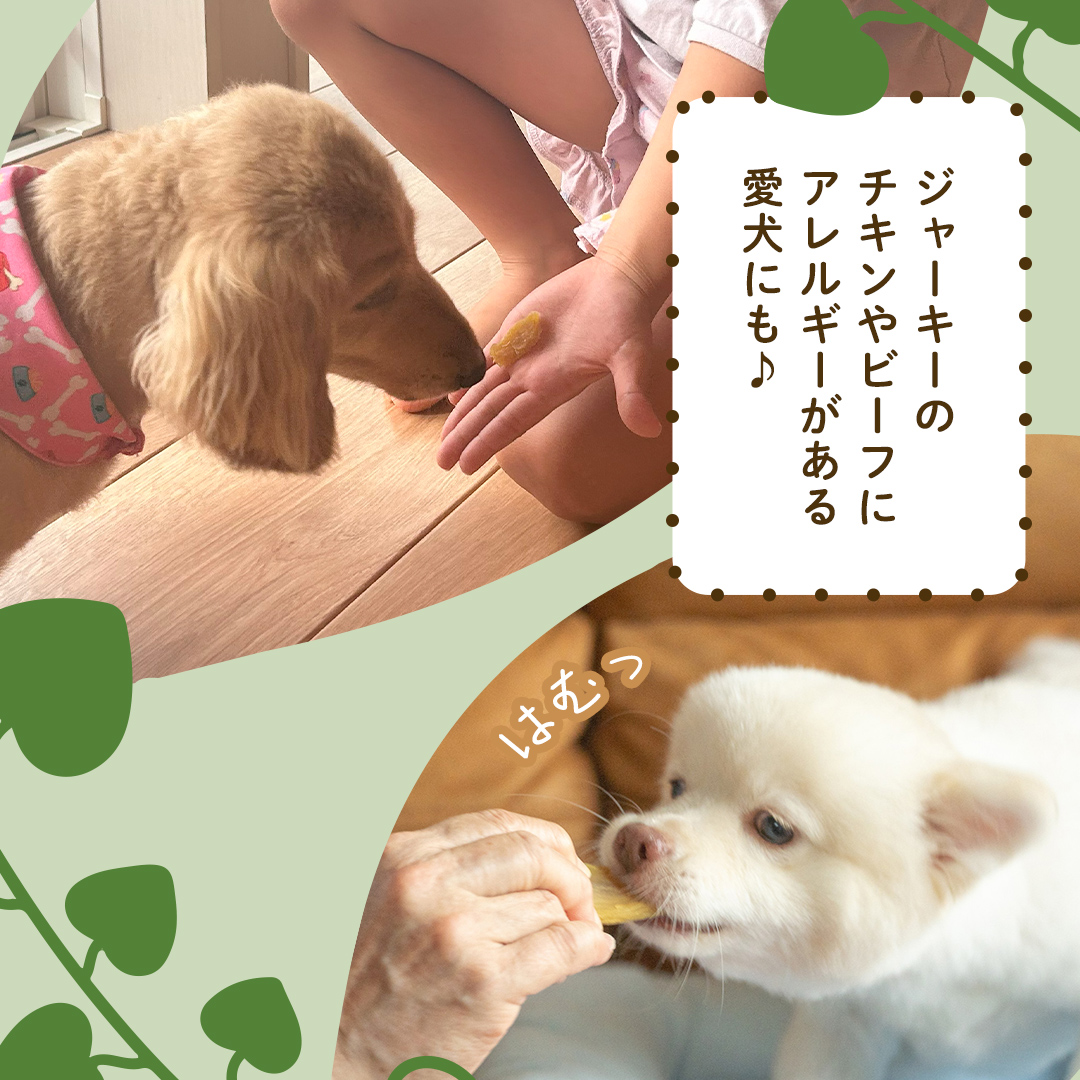 犬のおやつ 国産 干し芋 シロタ 400g (100g × 4袋) 送料無料 保存料不使用 訳ありドックフード 国産手作り さつまいも 人気 少量 個包装 栄養 効能 犬 わんちゃん 訳あり小袋 ドックフード 小分け [EA16-NT]