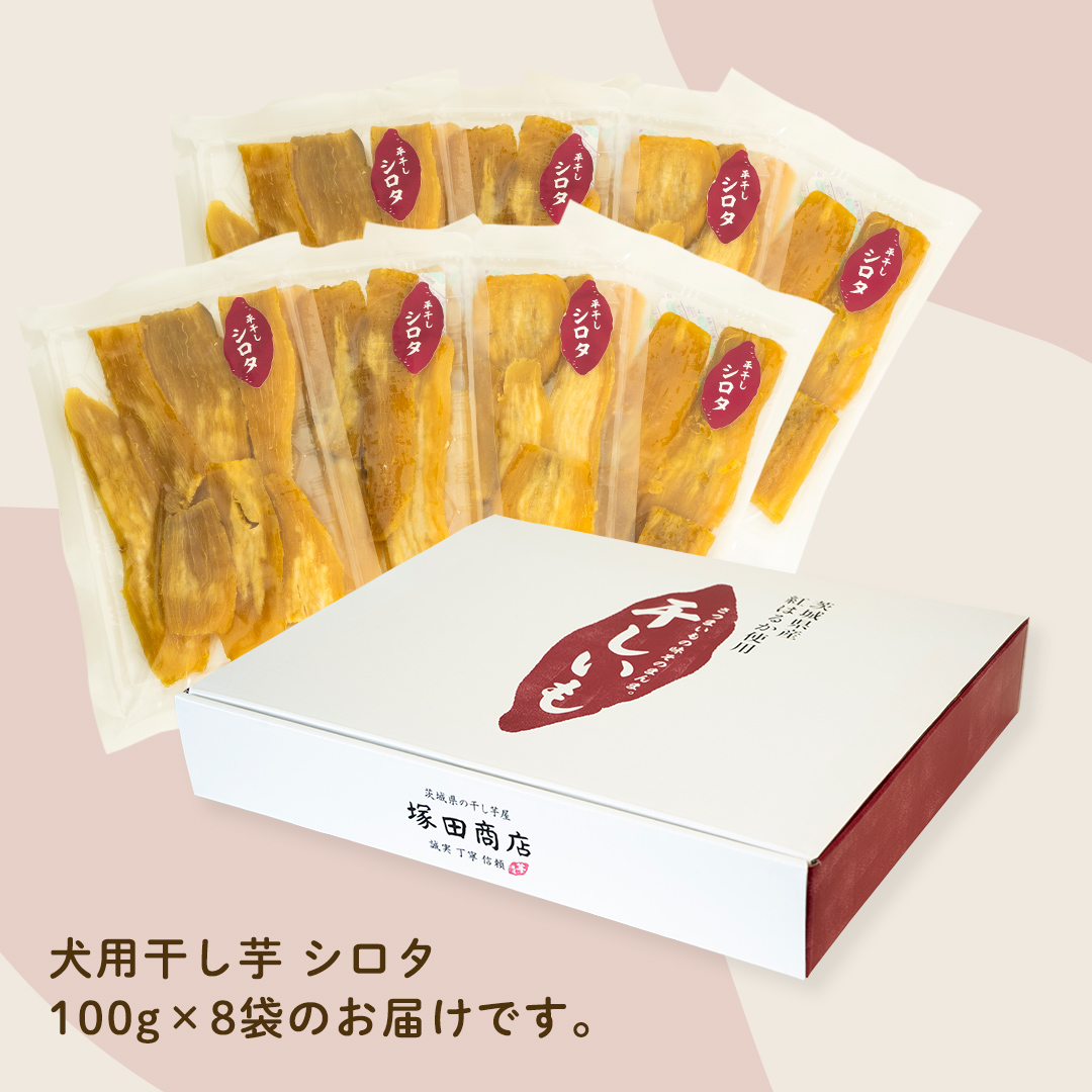 犬のおやつ 国産 干し芋 シロタ 800g (100g × 8袋) 送料無料 保存料不使用 訳ありドックフード 国産手作り さつまいも 人気 少量 個包装 栄養 効能 犬 わんちゃん 訳あり小袋 ドックフード 小分け [EA17-NT]