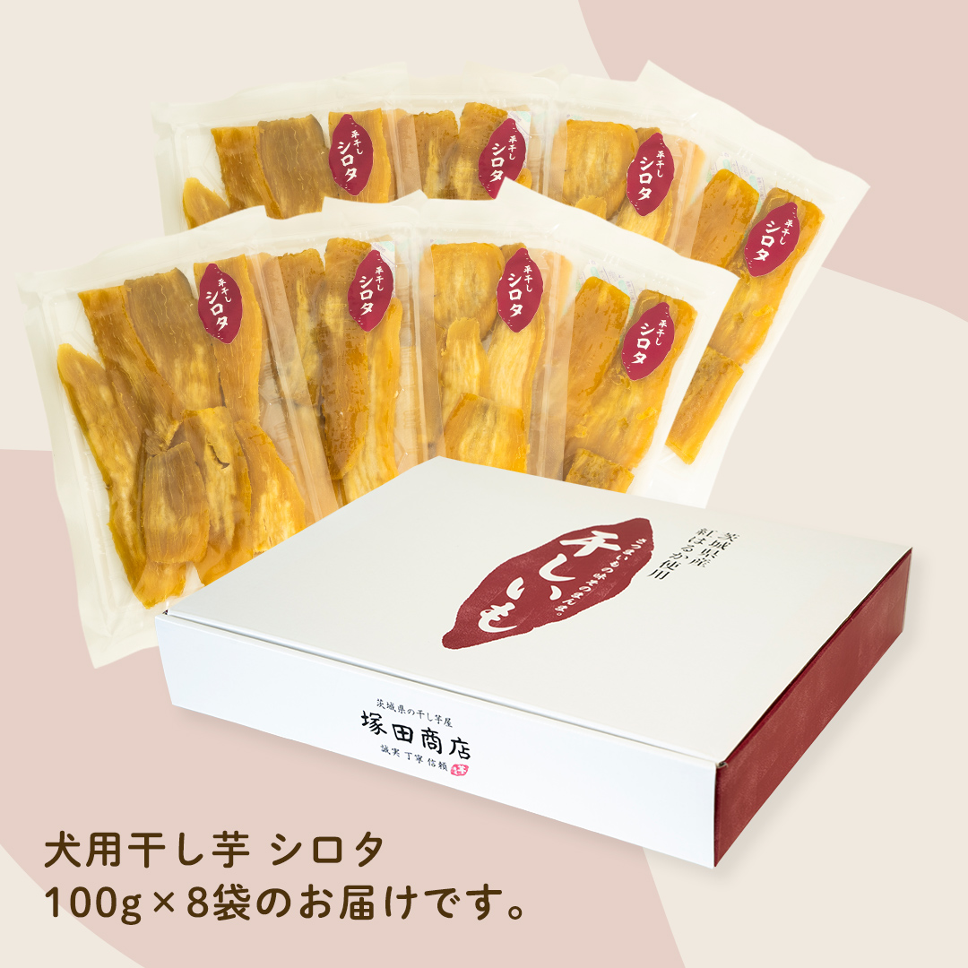 犬のおやつ 国産 干し芋 シロタ 800g (100g × 8袋) 保存料不使用 訳ありドックフード 国産手作り さつまいも 人気 少量 個包装 栄養 効能 犬 わんちゃん 訳あり小袋 ドックフード 小分け マツコの知らない世界 [EA17-NT]