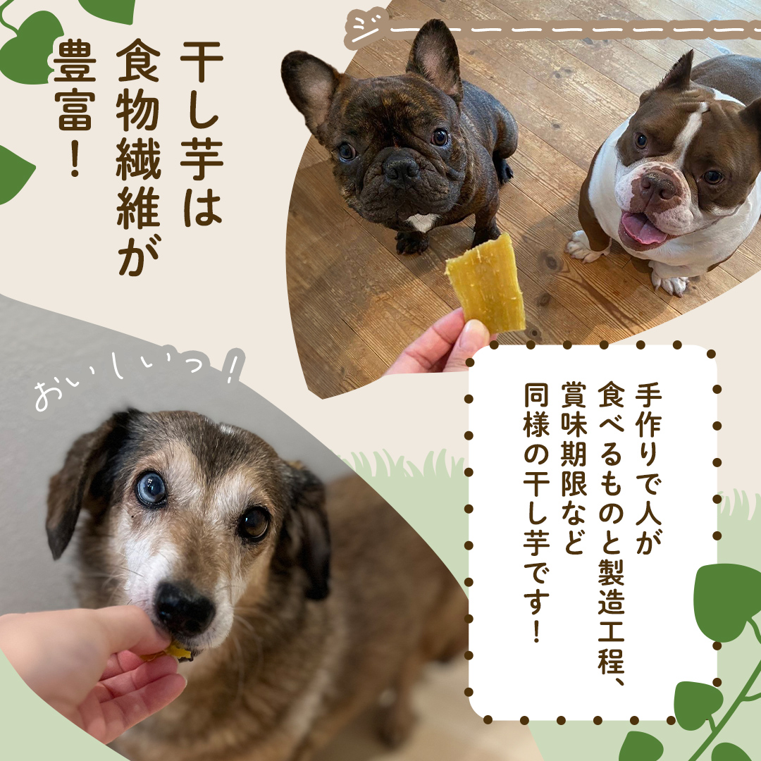 犬のおやつ 国産 干し芋 無選別 訳あり 400g (100g × 4袋) 2026年6月発送開始 保存料不使用 ドックフード 国産手作り さつまいも 人気 個包装 栄養 効能 犬 わんちゃん 少量 小分け マツコの知らない世界 スーパーツカダ [EA18-NT]