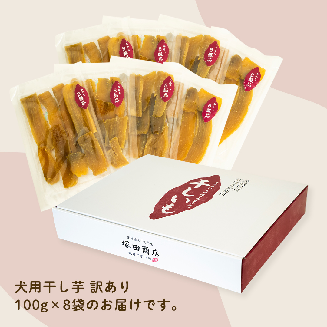 犬のおやつ 国産 干し芋 無選別 訳あり 800g (100g × 8袋) 送料無料 保存料不使用 ドックフード 国産手作り さつまいも 人気 少量 個包装 栄養 効能 犬 わんちゃん 小分け [EA19-NT]