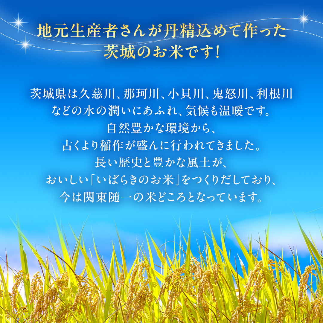 令和6年産 茨城県産 精米 コシヒカリ 5kg （5kg×1袋） 新米 白米 清米 キヨシマイ こしひかり 米 コメ こめ 単一米 限定 茨城県産 国産 美味しい お米 おこめ おコメ [EH01-NT]