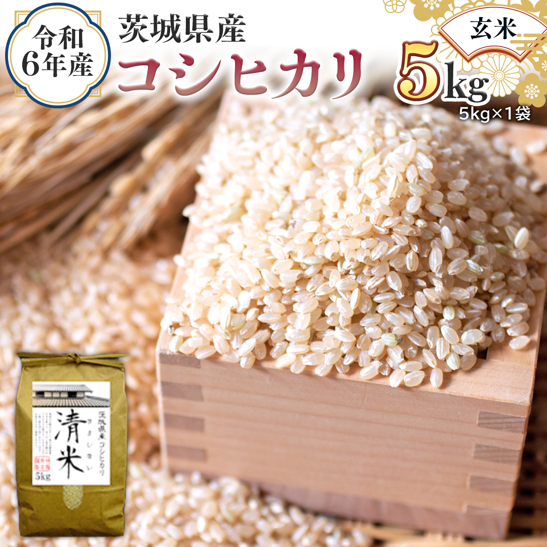 令和6年産 茨城県産 玄米 コシヒカリ 5kg （5kg×1袋） 新米 清米 キヨシマイ こしひかり 米 コメ こめ 単一米 限定 茨城県産 国産 美味しい お米 おこめ おコメ [EH04-NT]