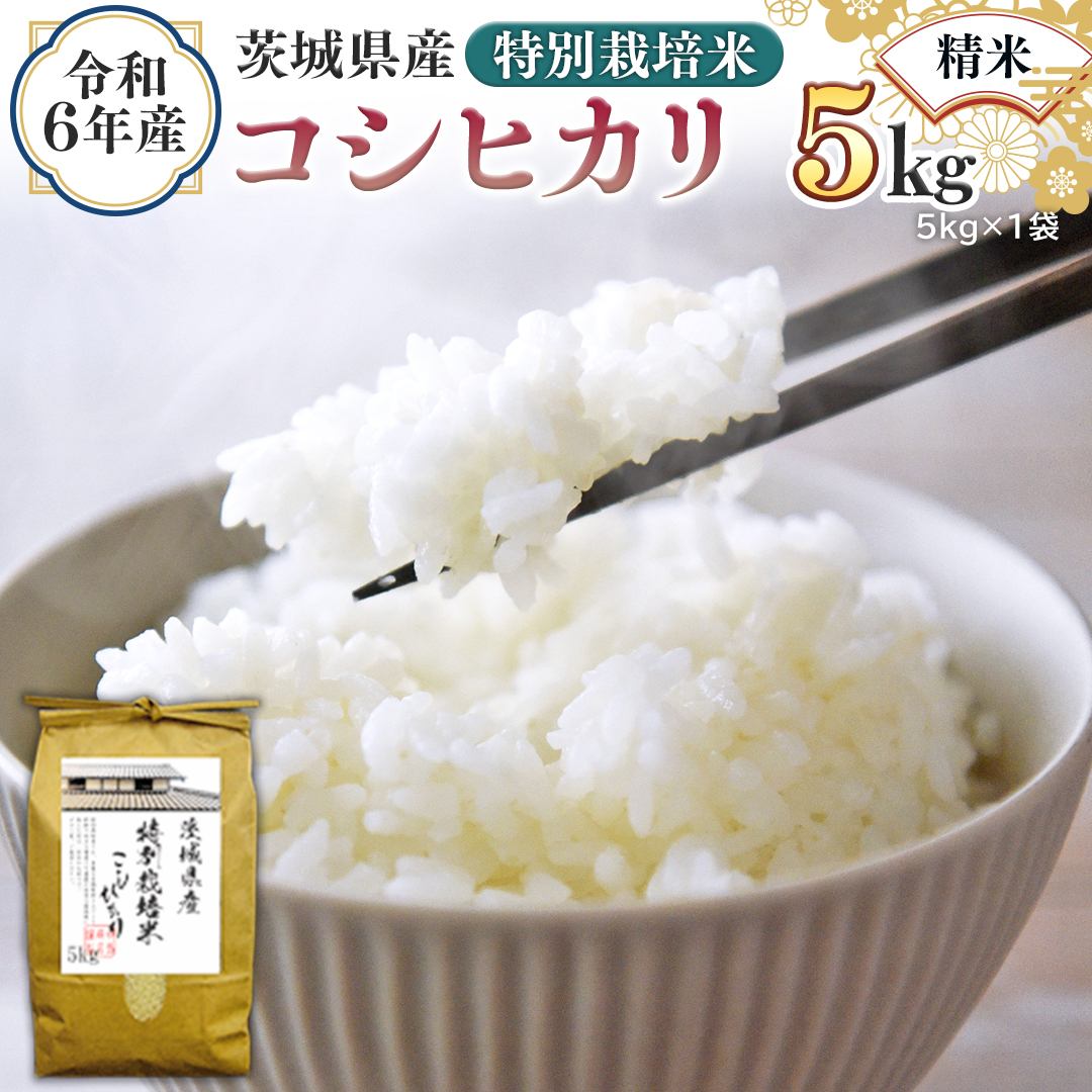 令和6年産 茨城県産 精米 特別栽培米 コシヒカリ 5kg （5kg×1袋） 新米 白米 こしひかり 米 コメ こめ 単一米 限定 茨城県産 国産 美味しい お米 おこめ おコメ [EH07-NT]