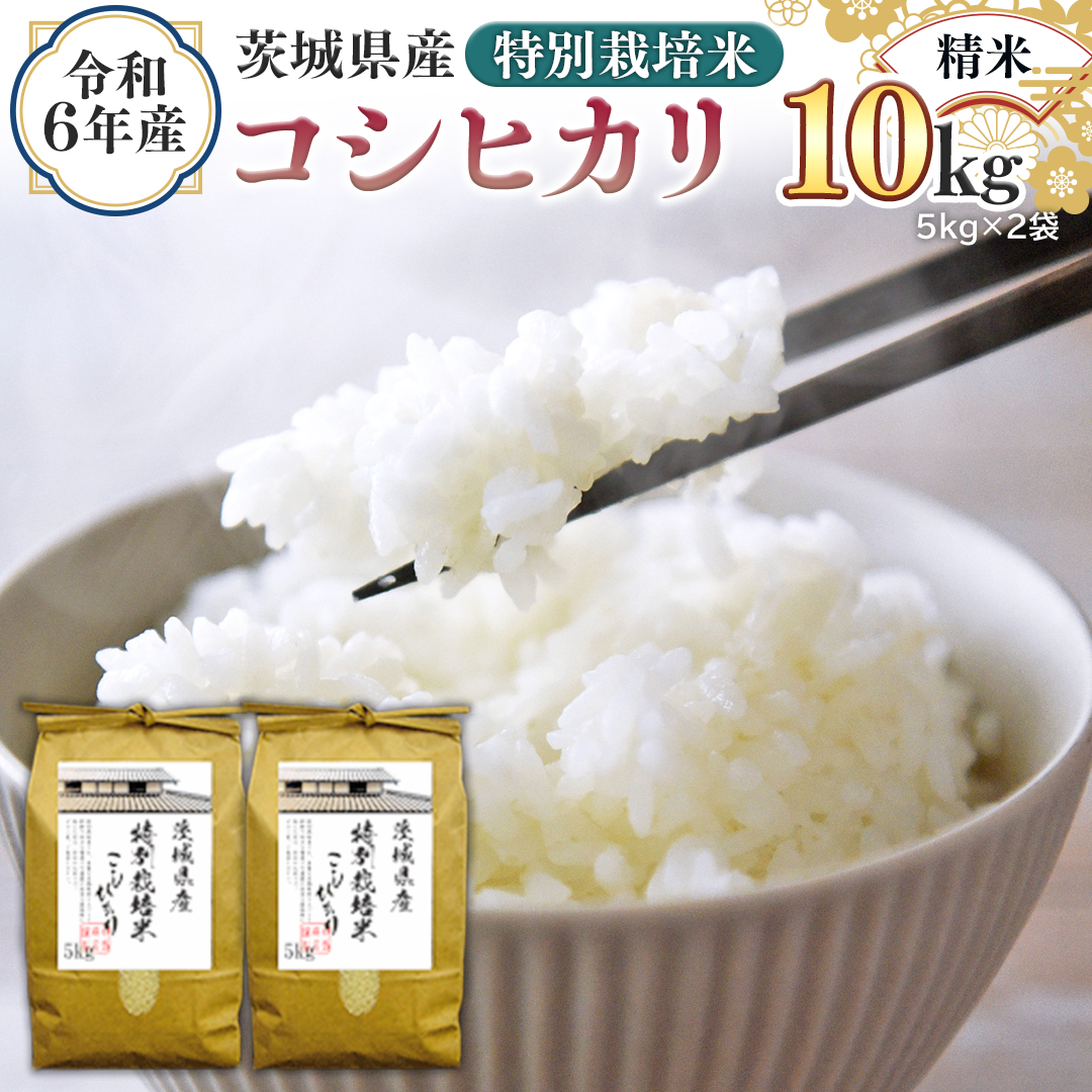 令和6年産 茨城県産 精米 特別栽培米 コシヒカリ 10kg （5kg×2袋） 新米 白米 こしひかり 米 コメ こめ 単一米 限定 茨城県産 国産 美味しい お米 おこめ おコメ [EH08-NT]