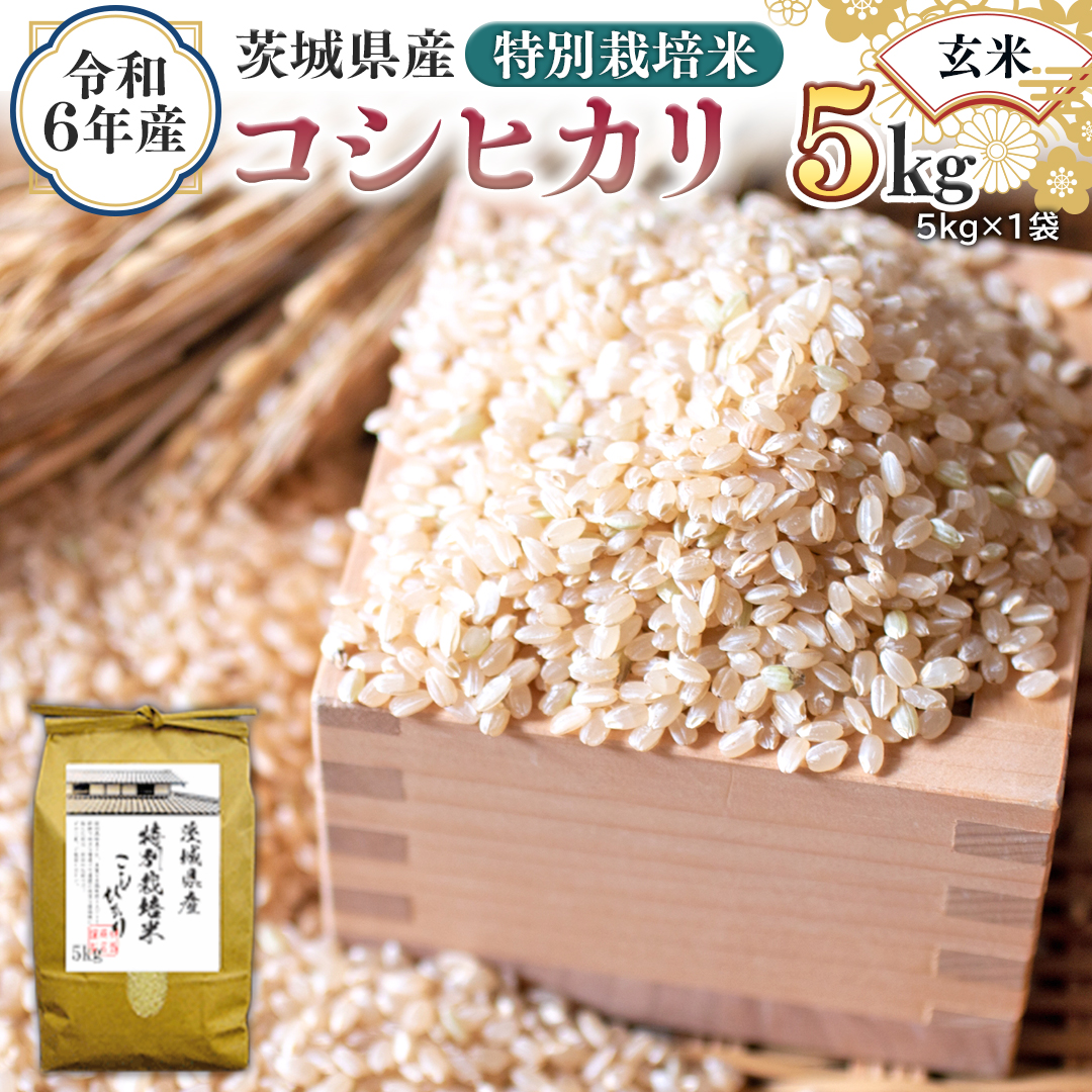 令和6年産 茨城県産 玄米 特別栽培米 コシヒカリ 5kg （5kg×1袋） 新米 こしひかり 米 コメ こめ 単一米 限定 茨城県産 国産 美味しい お米 おこめ おコメ [EH10-NT]