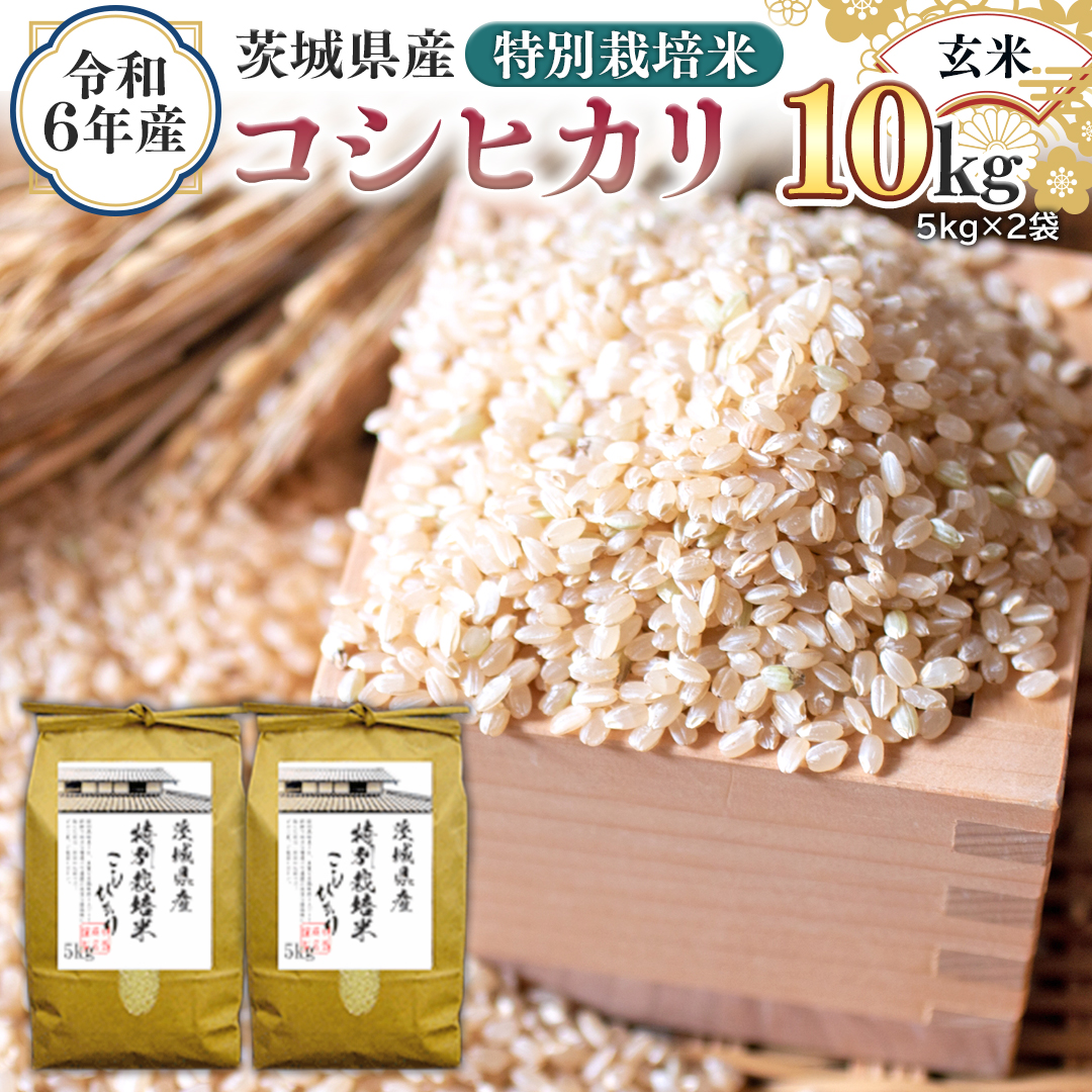 令和6年産 茨城県産 玄米 特別栽培米 コシヒカリ 10kg （5kg×2袋） 新米 こしひかり 米 コメ こめ 単一米 限定 茨城県産 国産 美味しい お米 おこめ おコメ [EH11-NT]