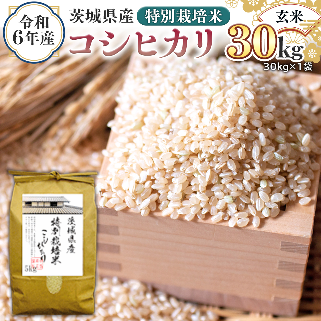 令和6年産 茨城県産 玄米 特別栽培米 コシヒカリ 30kg （30kg×1袋） 新米 こしひかり 米 コメ こめ 単一米 限定 茨城県産 国産 美味しい お米 おこめ おコメ [EH12-NT]
