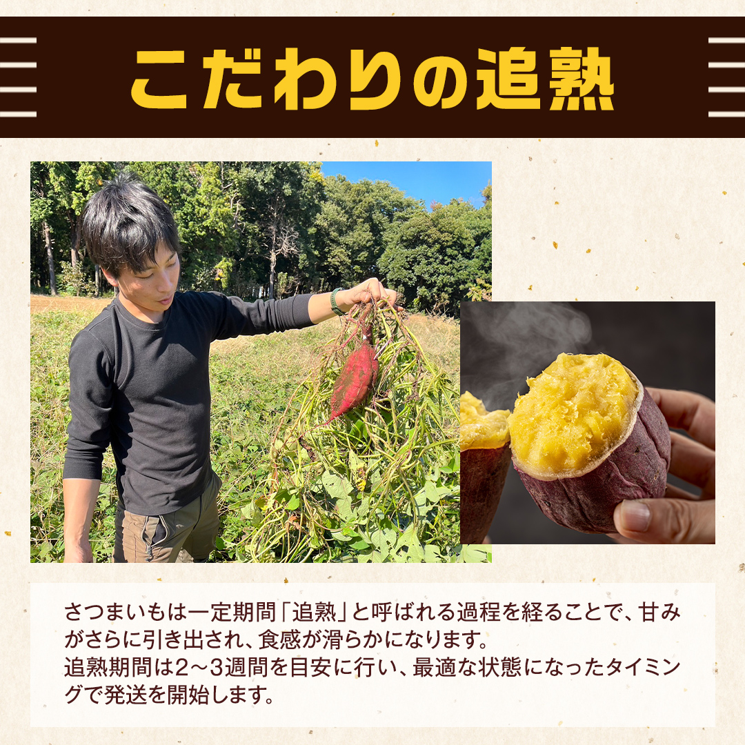 茨城県産 紅はるか 5kg 土付き 無選別 熟成 さつまいも 生芋 芋 サツマイモ 農薬不使用 化学肥料不使用 甘い 焼き芋 スイートポテト ねっとり [DX08-NT]