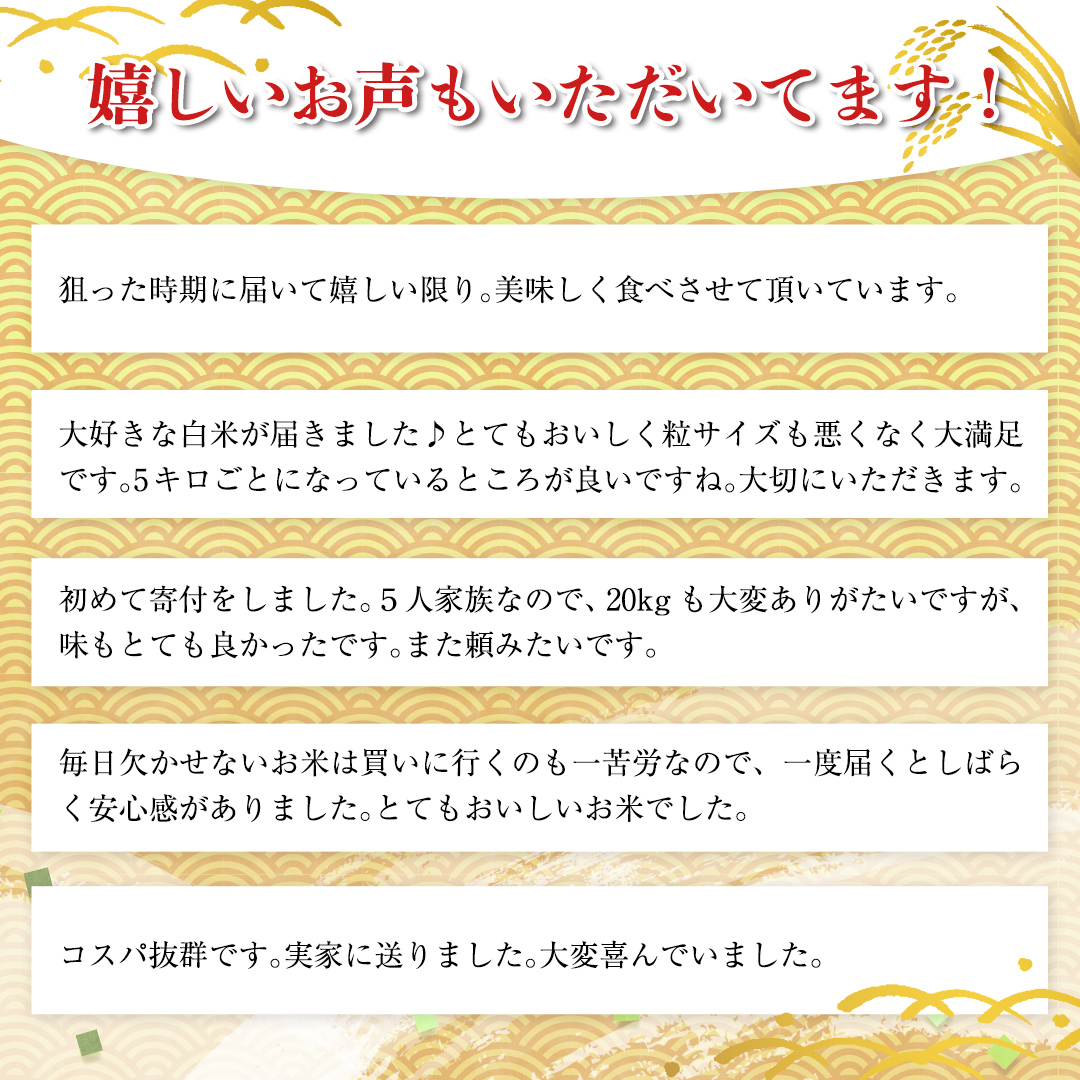 【 1月下旬発送 / 数量限定 】新米 茨城県産 コシヒカリ 精米 10kg (5kg×2袋） 令和6年産 こしひかり 米 コメ こめ 単一米 限定 茨城県産 国産 美味しい お米 おこめ おコメ [CL32-NT]