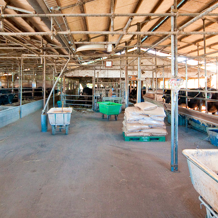 【定期便】【令和8年5月スタート】【全6回】『常陸牛』人気6か月堪能セット（6か月連続でお届け） お肉 肉 牛肉 ステーキ サーロイン 赤身 切り落とし 霜降り カルビ [BX55-NT]