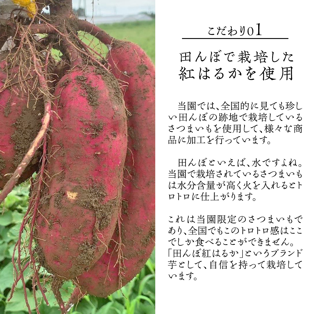 「田んぼ 紅はるか」で焼く、熟成焼き芋 2kg (500g×4梱包) 焼き芋 芋 さつまいも おやつ スイーツ 茨城 庄七農園 [BK23-NT]