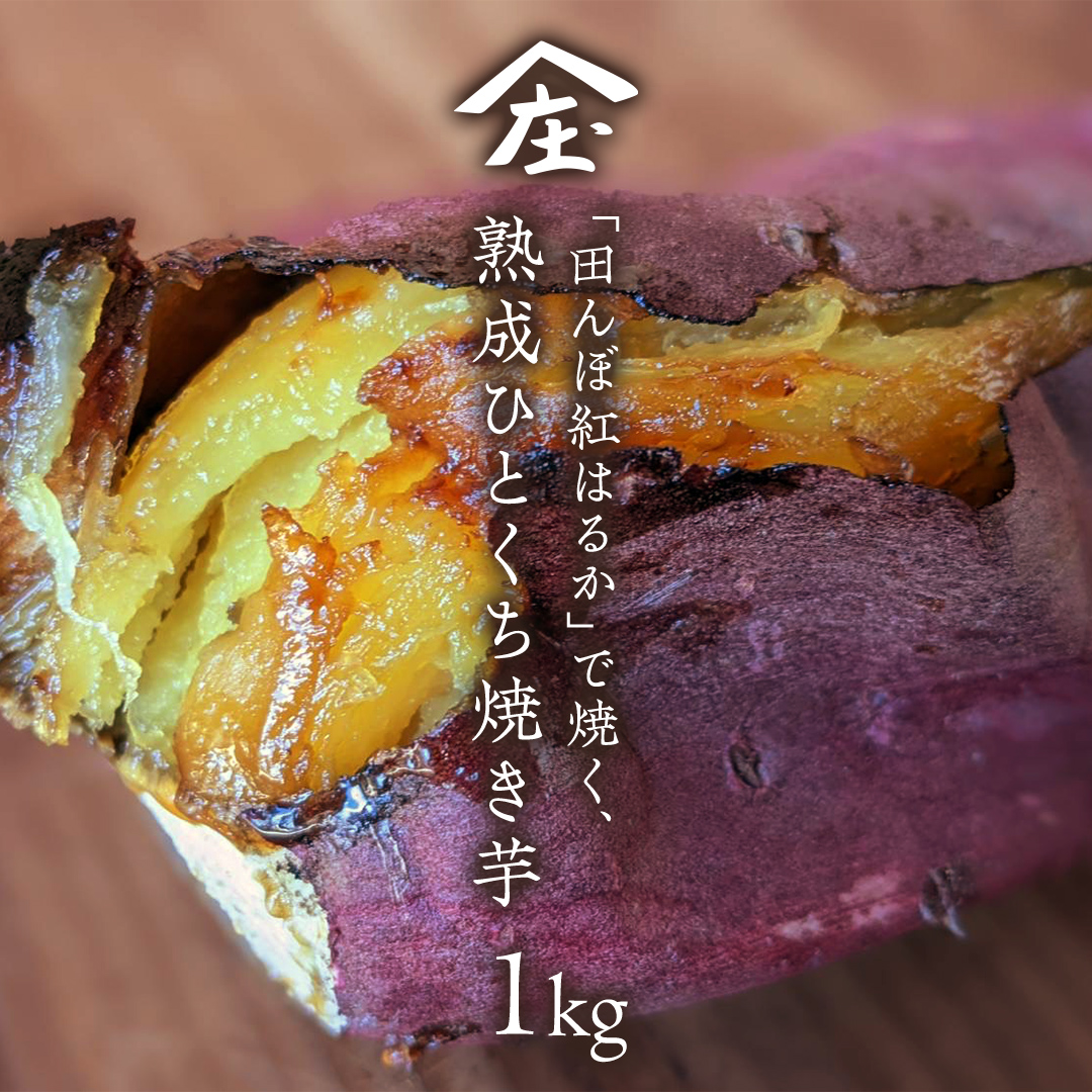 「田んぼ 紅はるか」で焼く、熟成ひとくち焼き芋 1kg (500g×2包装) 焼き芋 芋 さつまいも おやつ スイーツ 茨城 庄七農園  [BK24-NT]