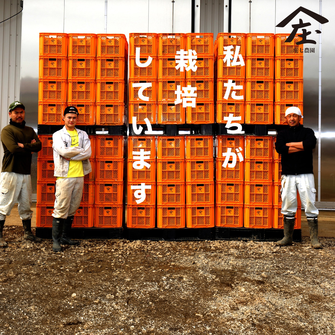 「田んぼ 紅はるか」で焼く、熟成ひとくち焼き芋 2kg (500g×4包装) 焼き芋 芋 さつまいも おやつ スイーツ 茨城 庄七農園 [BK25-NT]