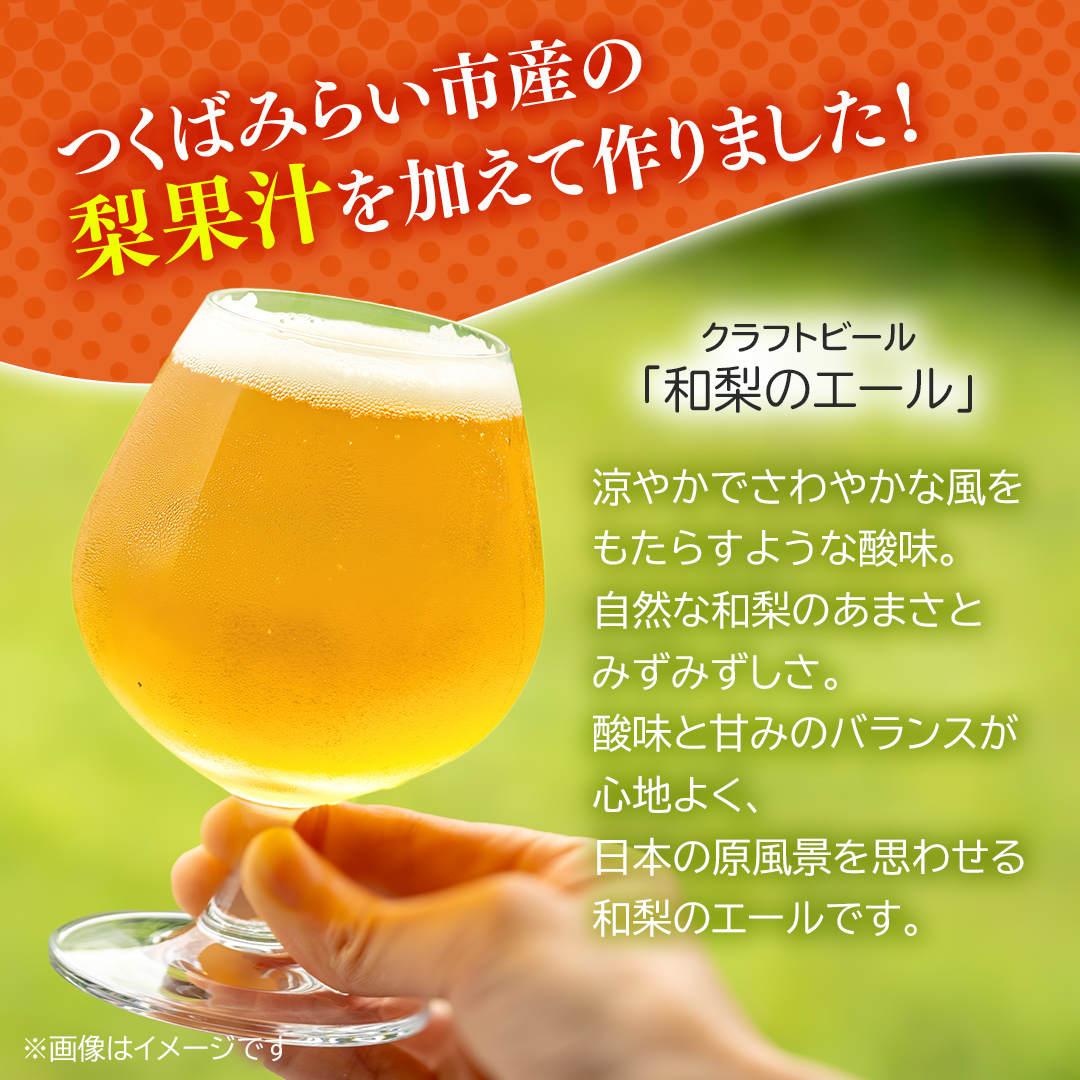 地元農家が作る つくばみらい市産 梨 を使った クラフトビール 「和梨のエール」 330ml 2本セット 地ビール 和梨 ビール [CZ14-NT]