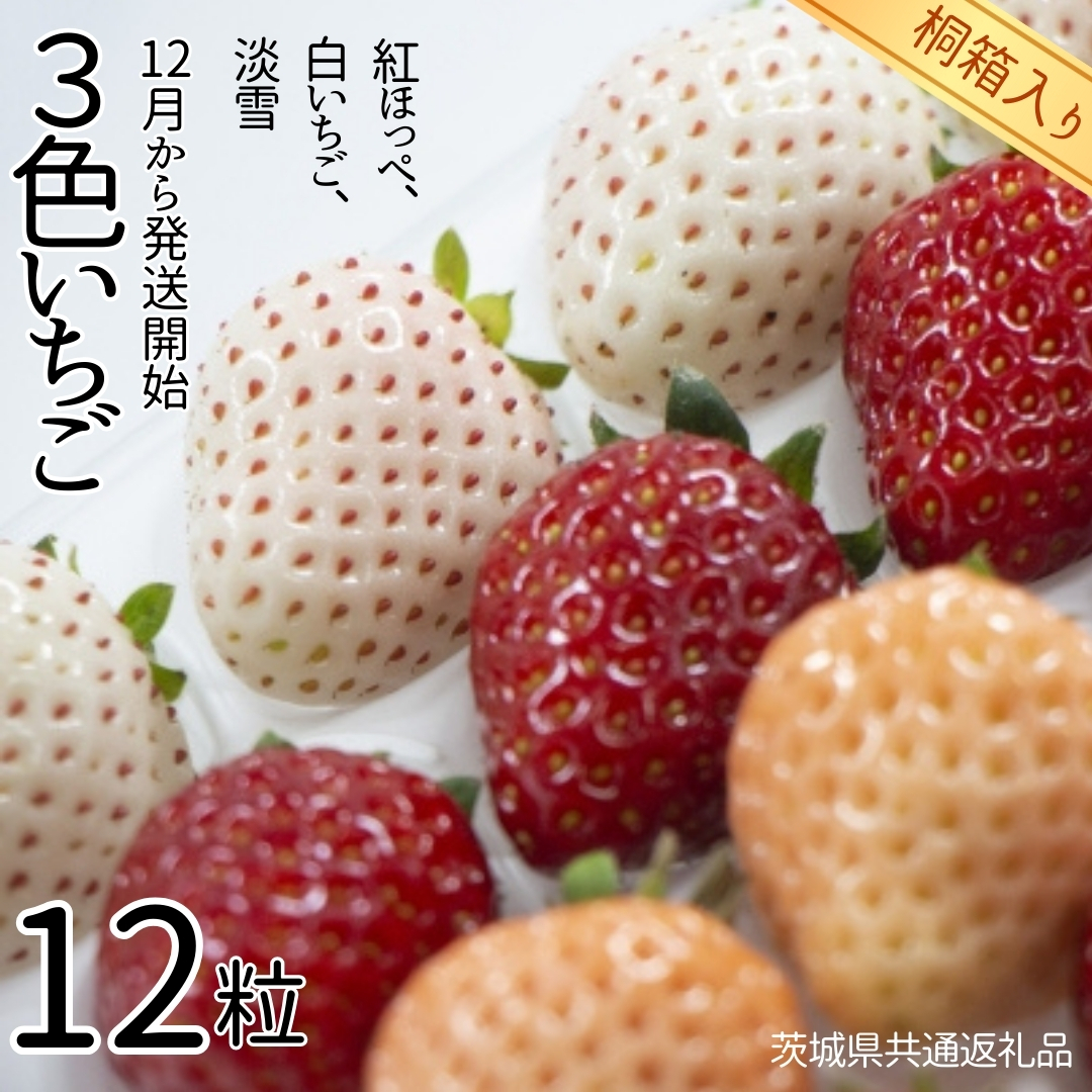 3色いちご （紅ほっぺ、白いちご、淡雪） 桐箱入り 12粒 【12月から発送開始】 （県内共通返礼品：石岡市産） フルーツ 果物 デザート いちご イチゴ 苺 白苺 白いちご 季節 桐箱 贈答 [BI354-NT]