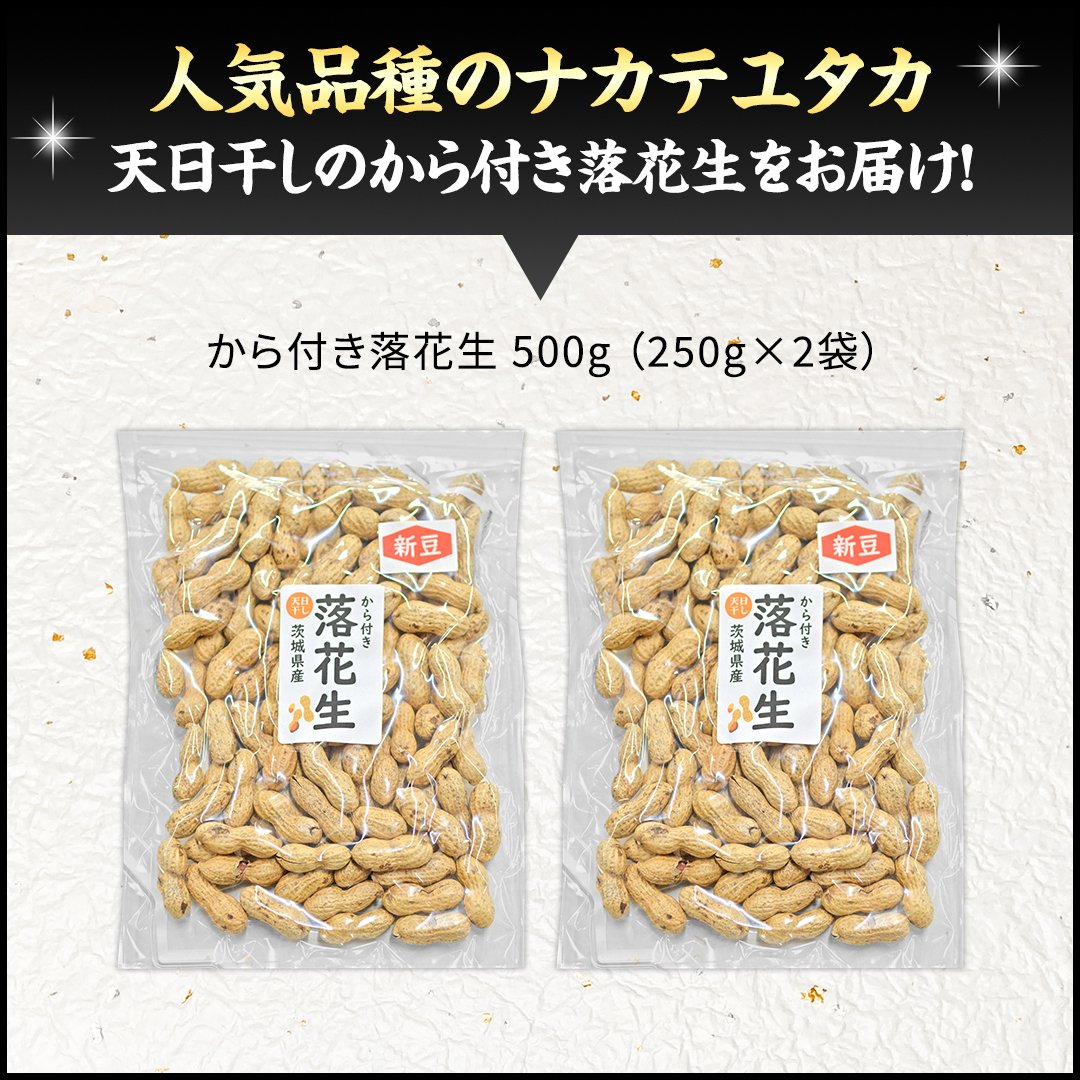 から付き落花生 500g （250g×2袋） 煎りざや落花生 おつまみ おやつ ピーナッツ 殻付き ナカテユタカ [EH21-NT]