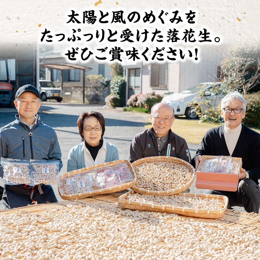 から付き落花生 500g （250g×2袋） 煎りざや落花生 おつまみ おやつ ピーナッツ 殻付き ナカテユタカ [EH21-NT]