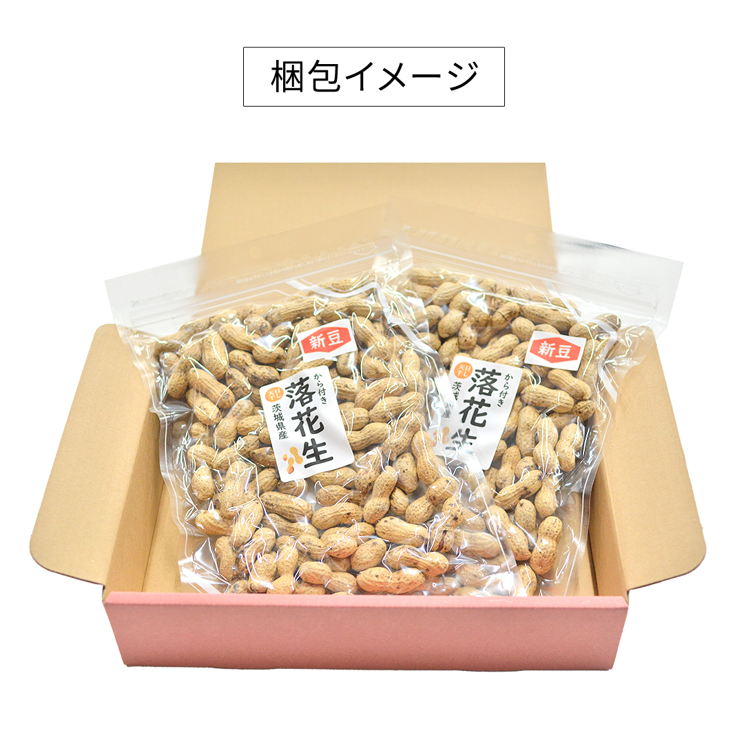 から付き落花生 500g （250g×2袋） 煎りざや落花生 おつまみ おやつ ピーナッツ 殻付き ナカテユタカ [EH21-NT]