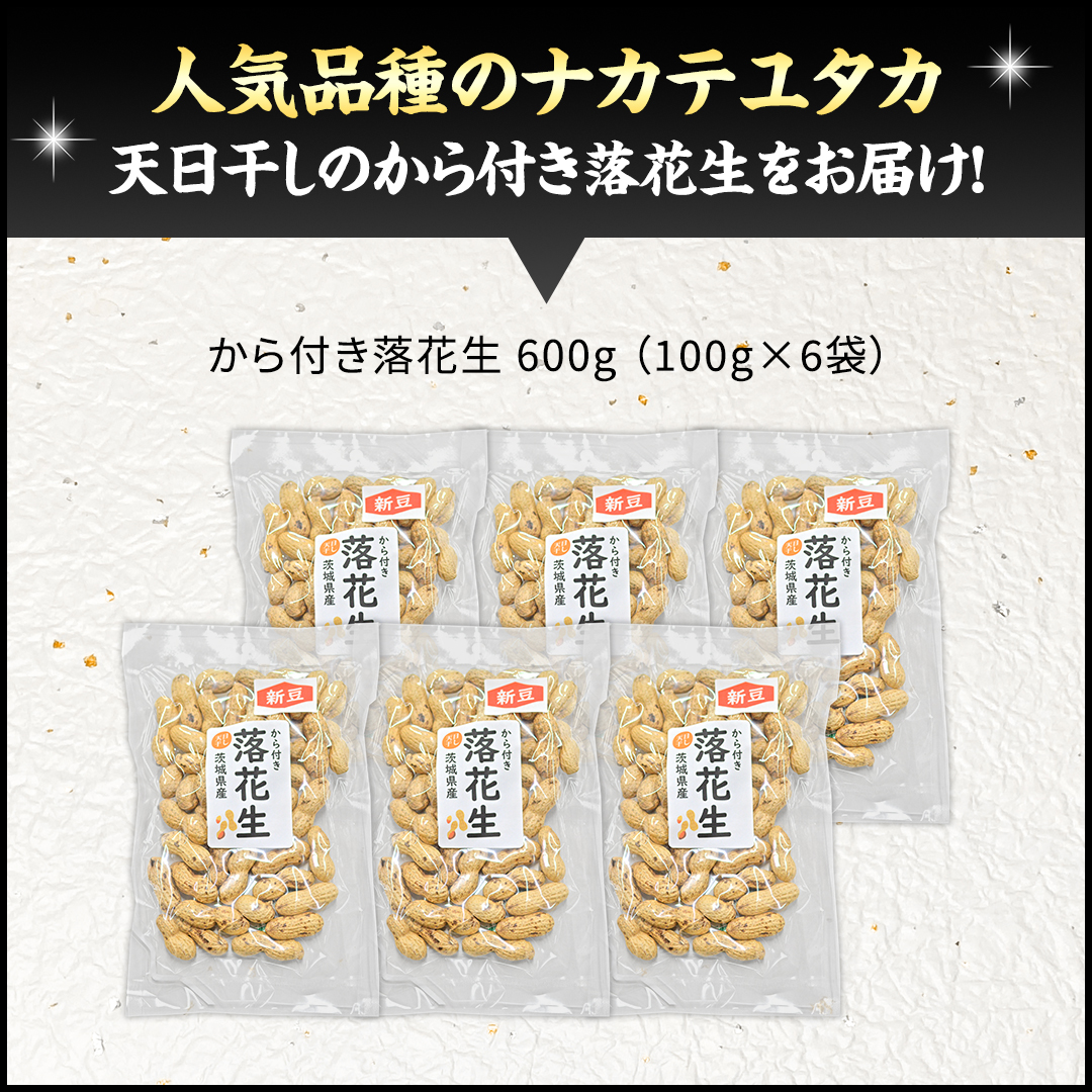 から付き落花生 600g （100g×6袋） 煎りざや落花生 おつまみ おやつ ピーナッツ 殻付き ナカテユタカ [EH22-NT]