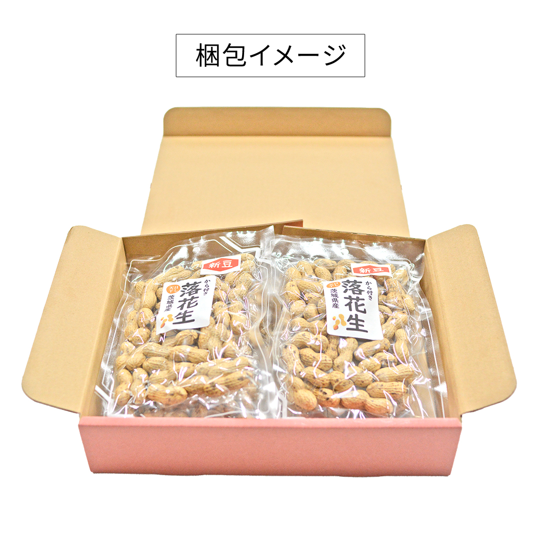 から付き落花生 600g （100g×6袋） 煎りざや落花生 おつまみ おやつ ピーナッツ 殻付き ナカテユタカ [EH22-NT]