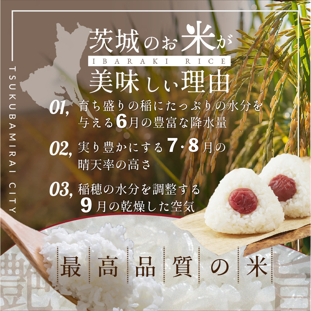 ＼ 令和６年産 ／【 お試しサイズ 】 茨城県産 コシヒカリ 150g (150g×1袋) お試し ♪ 1合 五つ星お米マイスター監修 寄附額 1000円 ポッキリ 米 精米 茨城 お米 おこめ ごはん 白米 米 茨城産  こしひかり[DW01-NT]