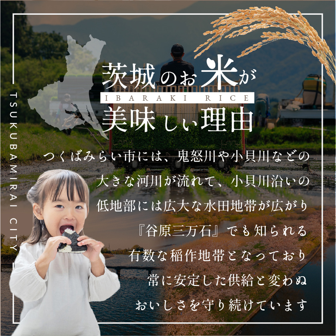 ＼ 令和６年産 ／【 お試しサイズ 】 茨城県産 コシヒカリ 150g (150g×1袋) お試し ♪ 1合 五つ星お米マイスター監修 寄附額 1000円 ポッキリ 米 精米 茨城 お米 おこめ ごはん 白米 米 茨城産  こしひかり[DW01-NT]