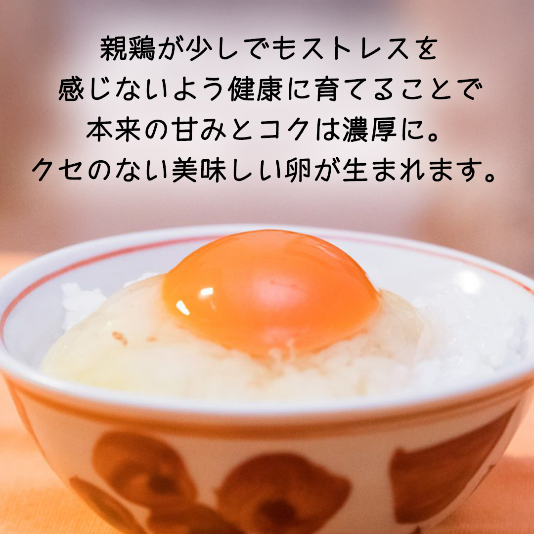 【 定期便 】【 全6回 コース 】紅プレミアム 卵 30個 （ 25個 入り ＋ 割れ保障 5個 ） 独自飼料 濃厚 おいしい玉子 玉子 たまご サンサンエッグ タンパク質 [CX07-NT]