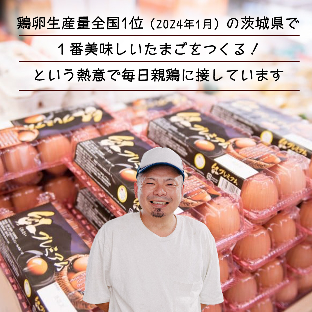 【 定期便 】【 全6回 コース 】紅プレミアム 卵 30個 （ 25個 入り ＋ 割れ保障 5個 ） 独自飼料 濃厚 おいしい玉子 玉子 たまご サンサンエッグ タンパク質 [CX07-NT]