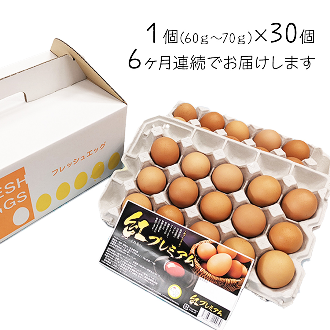 【 定期便 】【 全6回 コース 】紅プレミアム 卵 30個 （ 25個 入り ＋ 割れ保障 5個 ） 独自飼料 濃厚 おいしい玉子 玉子 たまご サンサンエッグ タンパク質 [CX07-NT]
