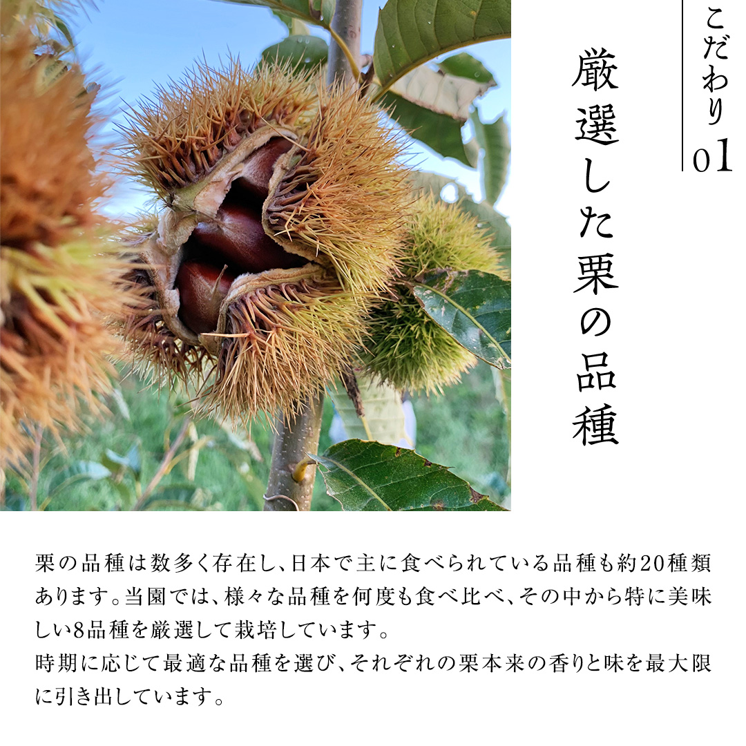 厳選 生和栗 1kg 【庄七農園】 栗 果樹 生栗 栗ご飯 渋皮煮 甘露煮 マロングラッセ フルーツ 茨城県 和栗 [BK40-NT]