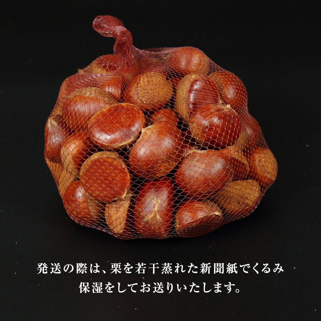 厳選 生和栗 1kg 【庄七農園】 栗 果樹 生栗 栗ご飯 渋皮煮 甘露煮 マロングラッセ フルーツ 茨城県 和栗 [BK40-NT]