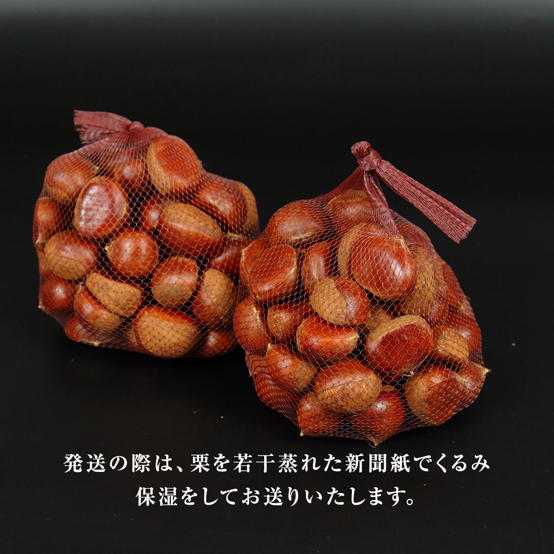 厳選 生和栗 2kg 【庄七農園】 栗 果樹 生栗 栗ご飯 渋皮煮 甘露煮 マロングラッセ フルーツ 茨城県 和栗  [BK41-NT]