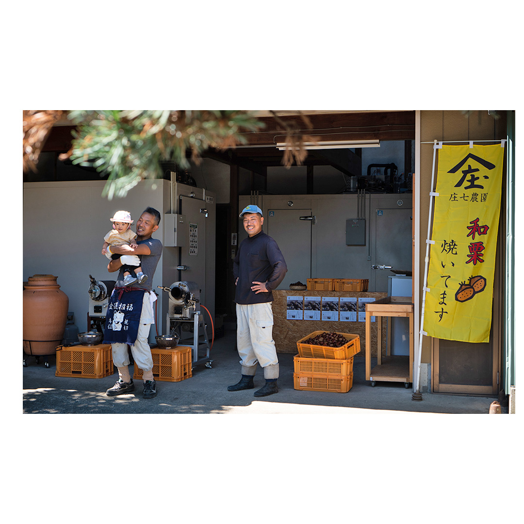 厳選 生和栗 2kg 【庄七農園】 栗 果樹 生栗 栗ご飯 渋皮煮 甘露煮 マロングラッセ フルーツ 茨城県 和栗  [BK41-NT]