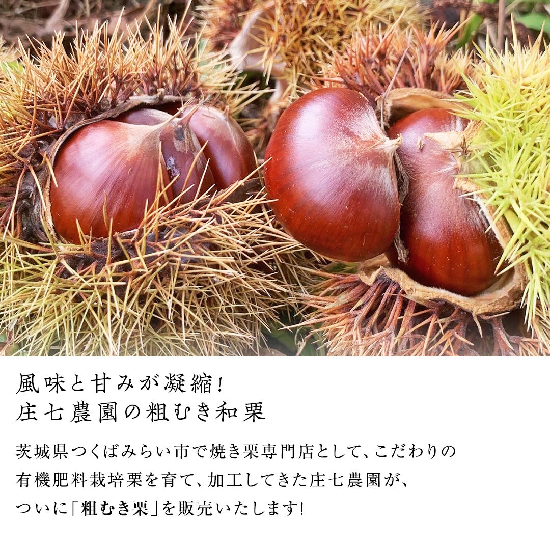 熟成で糖度の上がった 粗むき栗 400g (200g × 2) ( 冷凍真空包装 ) 栗 栗ご飯 むき栗 栗 和栗 フルーツ 秋の味覚 お手軽 [BK43-NT]
