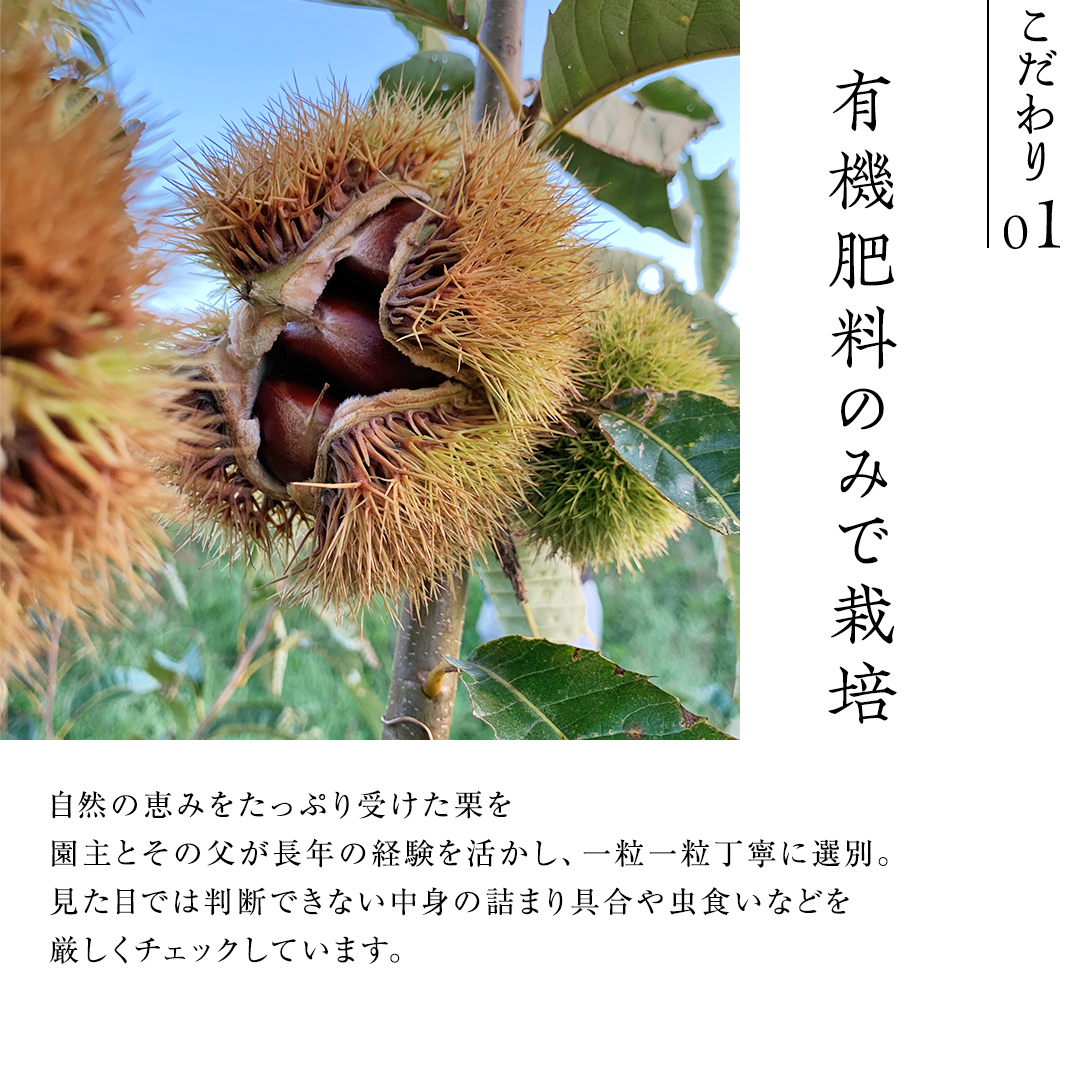 熟成で糖度の上がった 粗むき栗 1kg (200g × 5) ( 冷凍真空包装 ) 栗 栗ご飯 むき栗 栗 和栗 フルーツ 秋の味覚 お手軽 [BK46-NT]