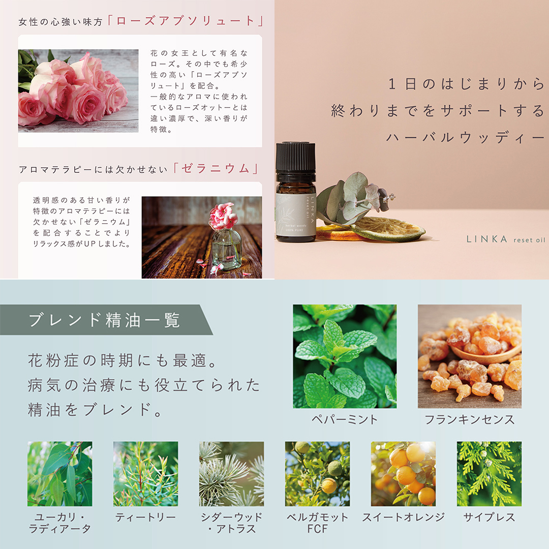 LINKA イオン フェイス スチーマー ＋ アロマオイル 2種セット 美顔器 美容 リンカ アロマ 癒し リラックス エステ ディフューザー [EV21-NT]