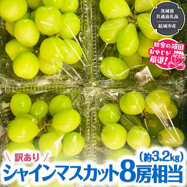 【2026年9月より発送開始】 【 訳あり 】 シャインマスカット 8房相当（約3.2kg） 田舎の頑固おやじが厳選！（茨城県共通返礼品 [ぶどう]：結城市産） 果物 フルーツ 不揃い わけあり 先行予約 家庭用 フルーツ ブドウ 果物 ぶどう シャイン マスカット くだもの 先行予約 [BI209-NT]