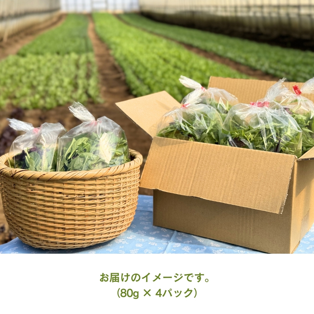 【 定期便 】3か月連続でお届け！ 黒澤農園 の ベビーリーフサラダ （ 80g × 4パック ）ファミリーサイズ ベビーリーフ サラダ 生野菜 食べやすい 若葉 ファミリー 旬 新鮮 国産 彩り 頒布会 野菜 葉野菜 国産 直送 定期 [DS04-NT]