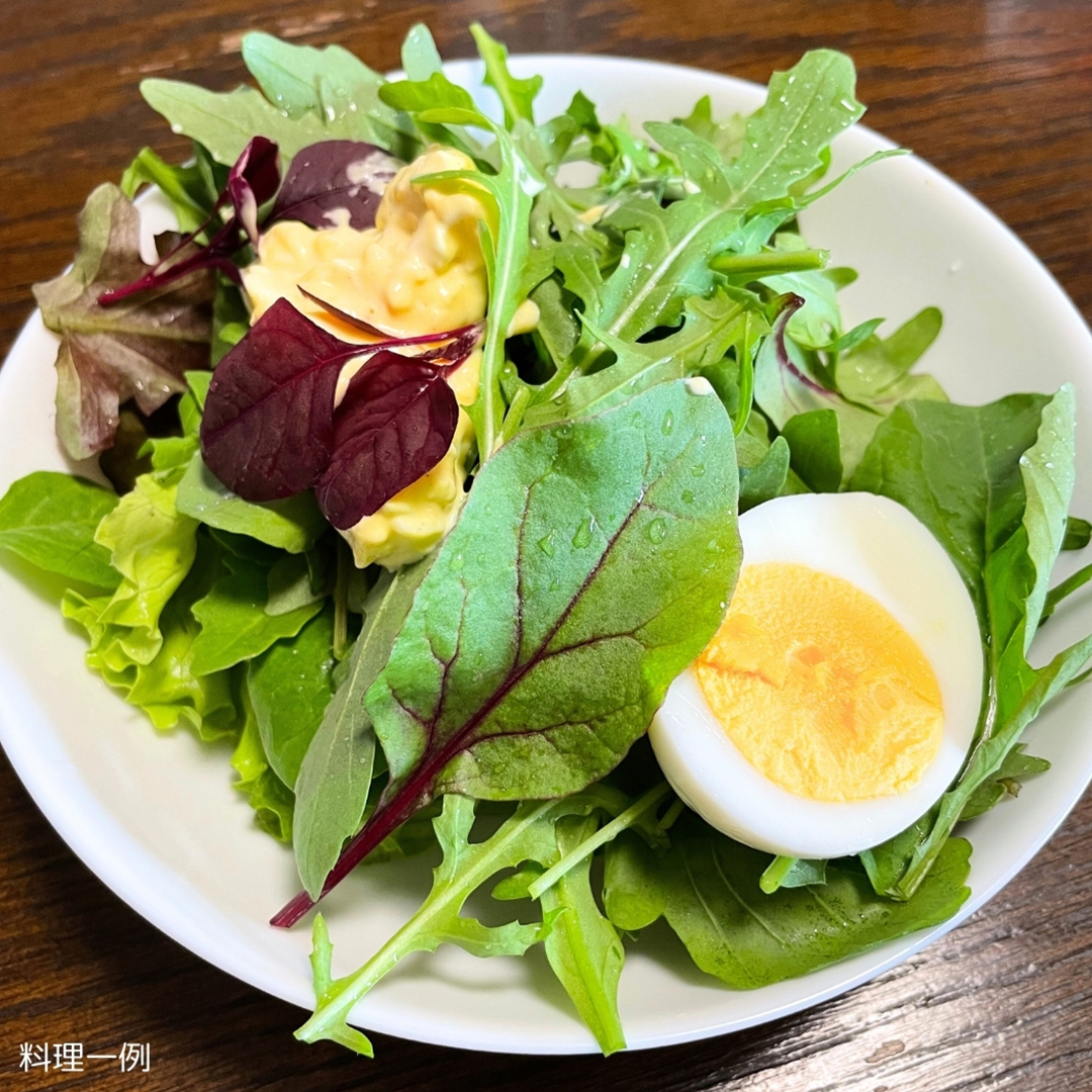 【 定期便 】全3回隔月でお届け！ 黒澤農園 の ベビーリーフサラダ （ 80g × 4パック ）ファミリーサイズ ベビーリーフ サラダ 生野菜 食べやすい 若葉 ファミリー 旬 新鮮 国産 彩り 頒布会 野菜 葉野菜 国産 直送 定期 [DS05-NT]