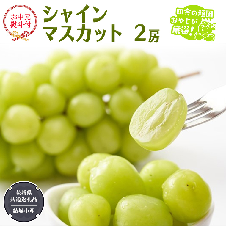 【お中元 熨斗付】 シャインマスカット 2房 【2026年7月から発送開始】 （茨城県共通返礼品 [ぶどう]：結城市産） 田舎の頑固おやじが厳選！ マスカット 種なし 高糖度 ギフト お中元 甘い 美味しい フルーツ ぶどう [BI266-NT]