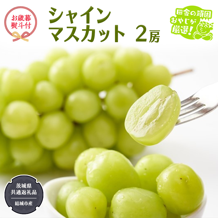 【お歳暮 熨斗付】 シャインマスカット 2房 【2026年12月より発送開始】 （茨城県共通返礼品 [ぶどう]：結城市産） 田舎の頑固おやじが厳選！ マスカット 種なし 大粒 高糖度 御歳暮 ギフト ぶどう 巨峰 フルーツ 甘い [BI270-NT]